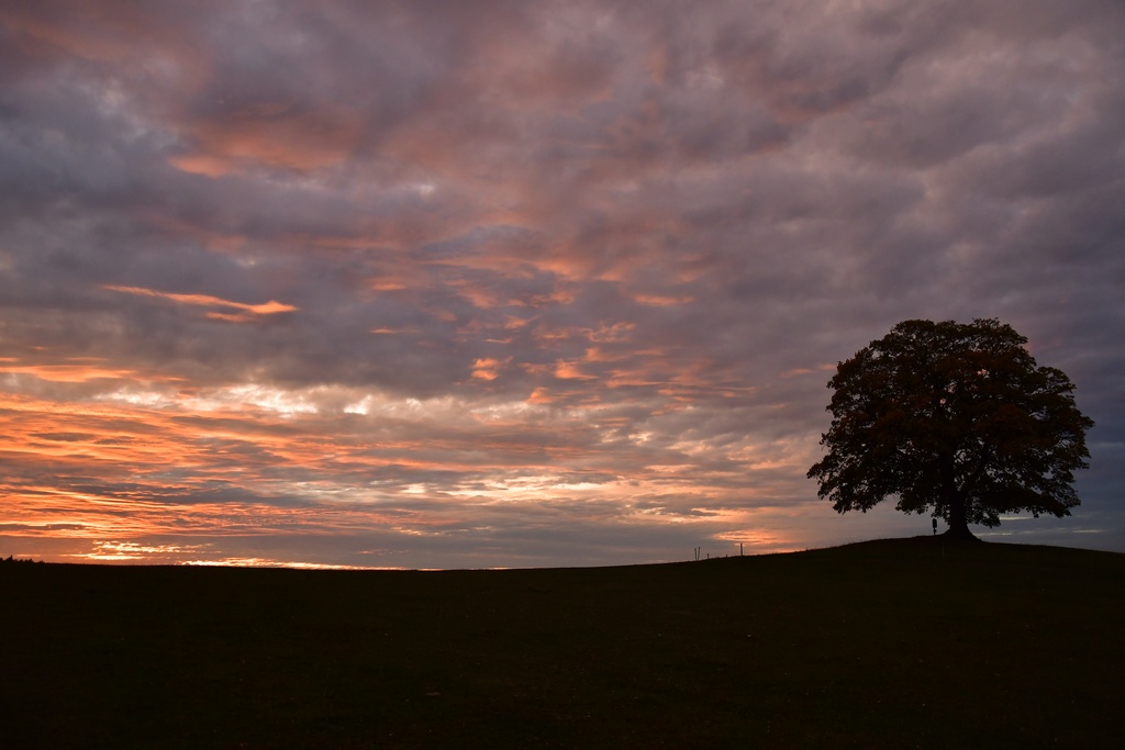 2018-10 Prague/Votice/DSC_5895.JPG